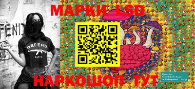 индика Лесосибирск