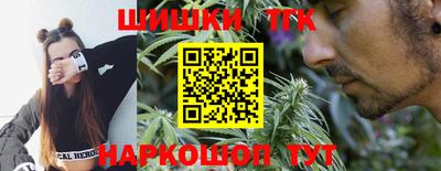 индика Лесосибирск