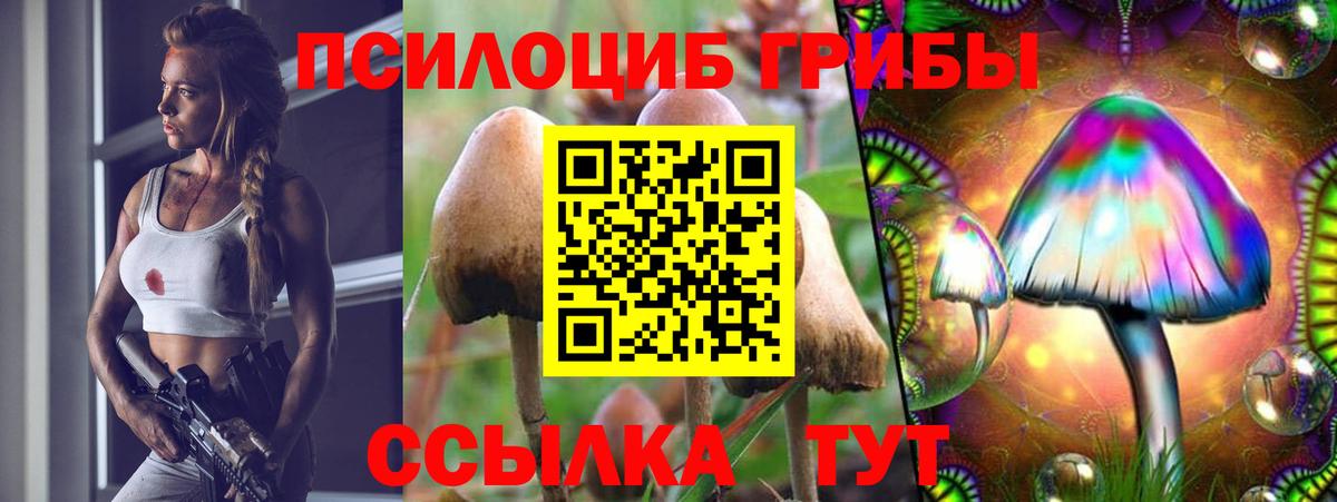 Галлюциногенные грибы мухоморы Губкинский